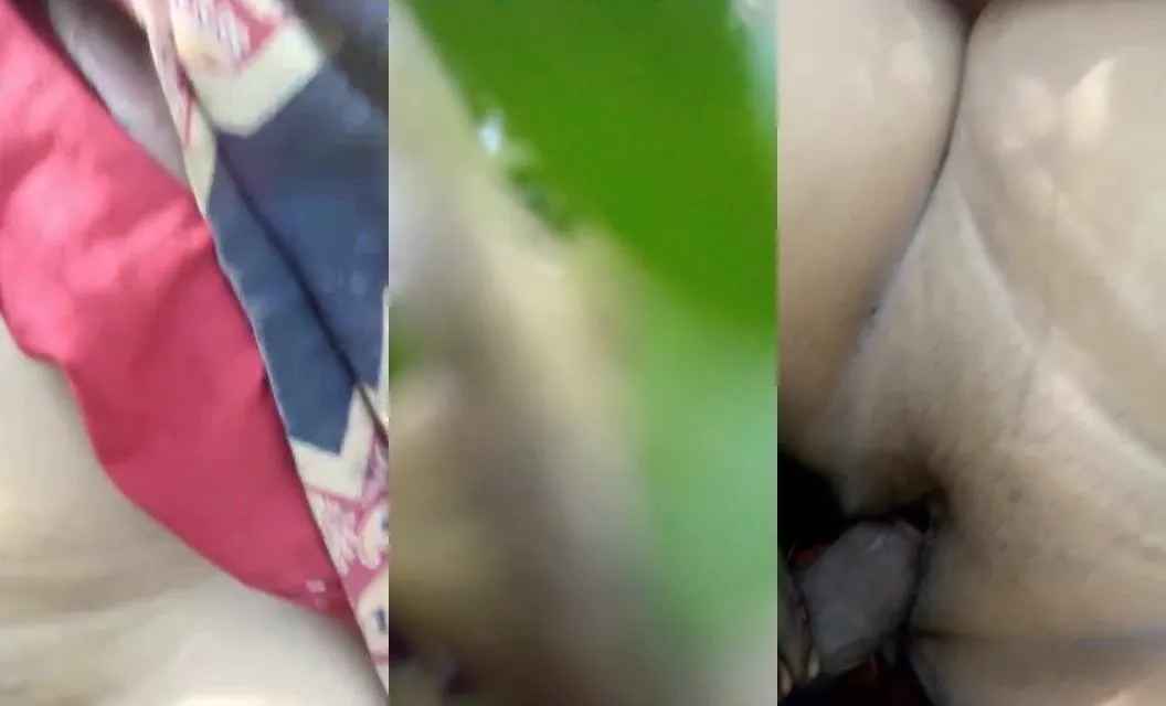 Big boobs chubby aunty in saree fucked by village black boy in jungle