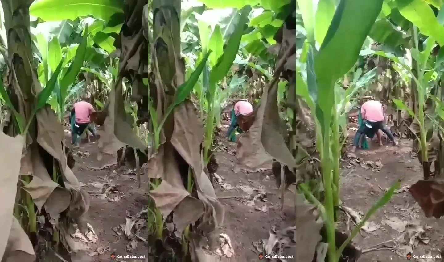 Malayali village lady caught during intense sex with lover in farm