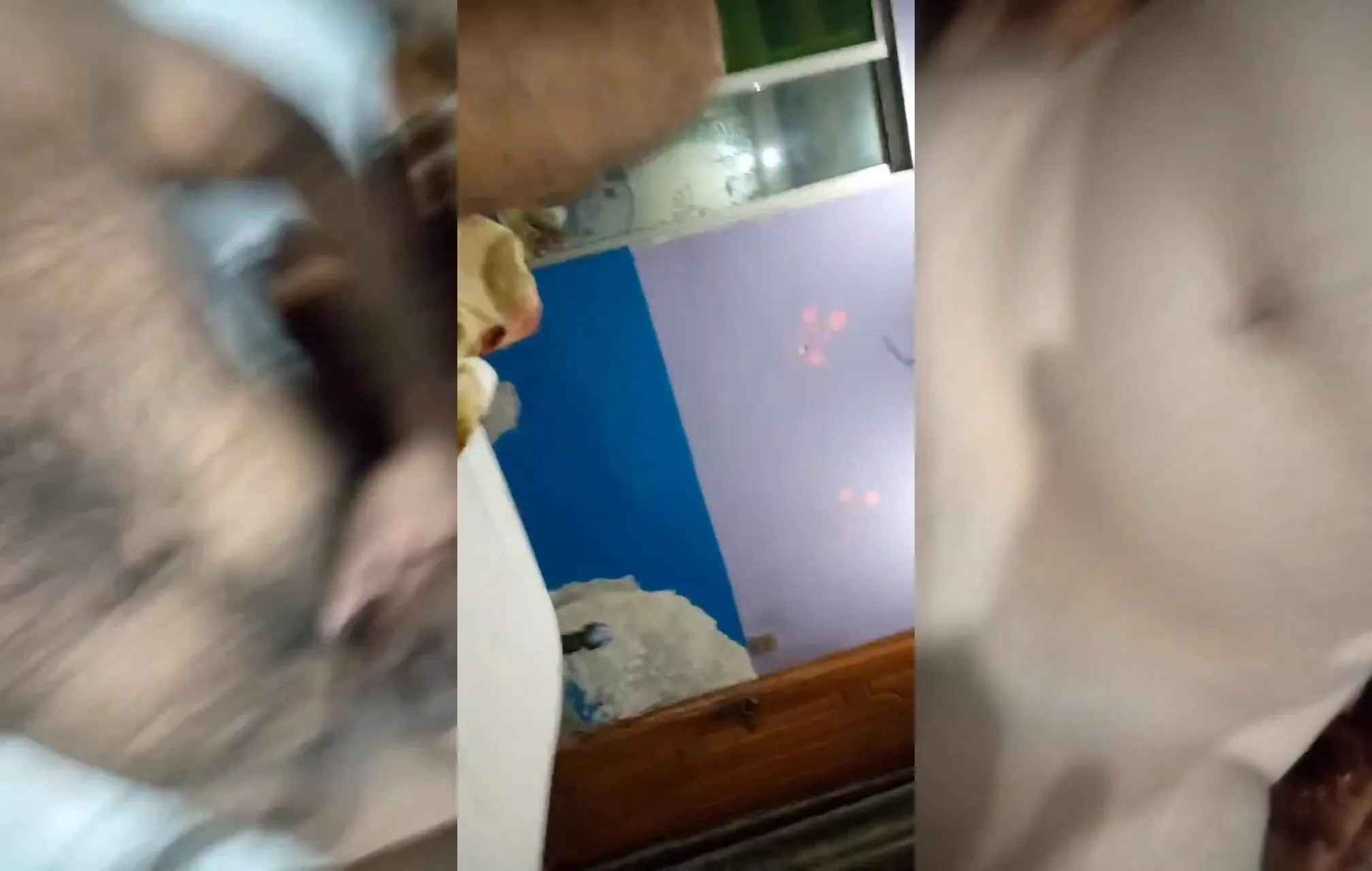 Punjabi lusty girl intense romantic BJ and fuck with hairy bf