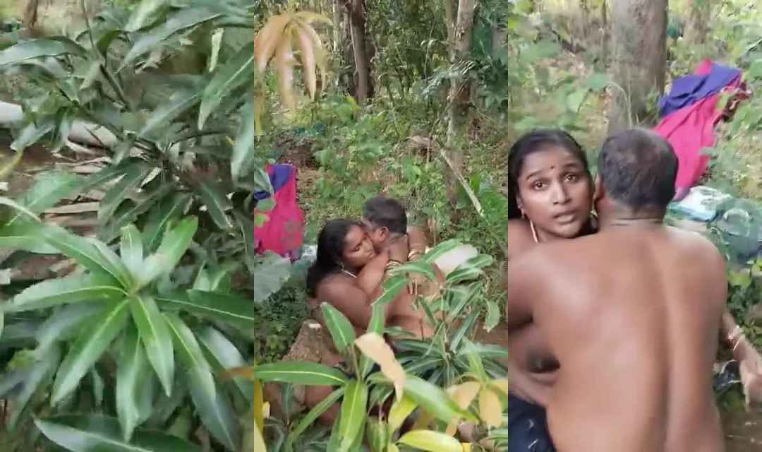 Tamil boys caught naked uncle and aunty fucking in orchard