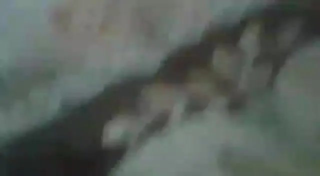 Beautiful Instagram girl viral blowjob mms with hindi audio