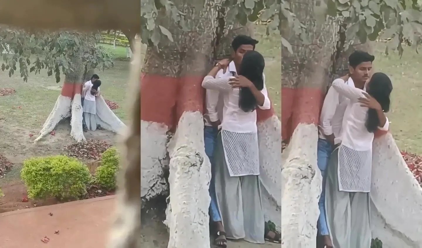College hot lovers romancing behind tree caught by teacher