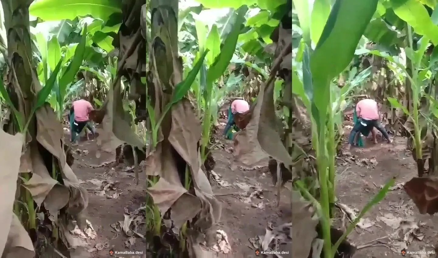 Malayali village lady caught during intense sex with lover in farm