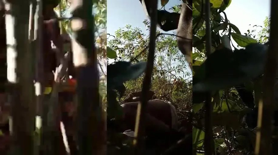 Mature randi bhabhi satisfying two villager boys in jungle