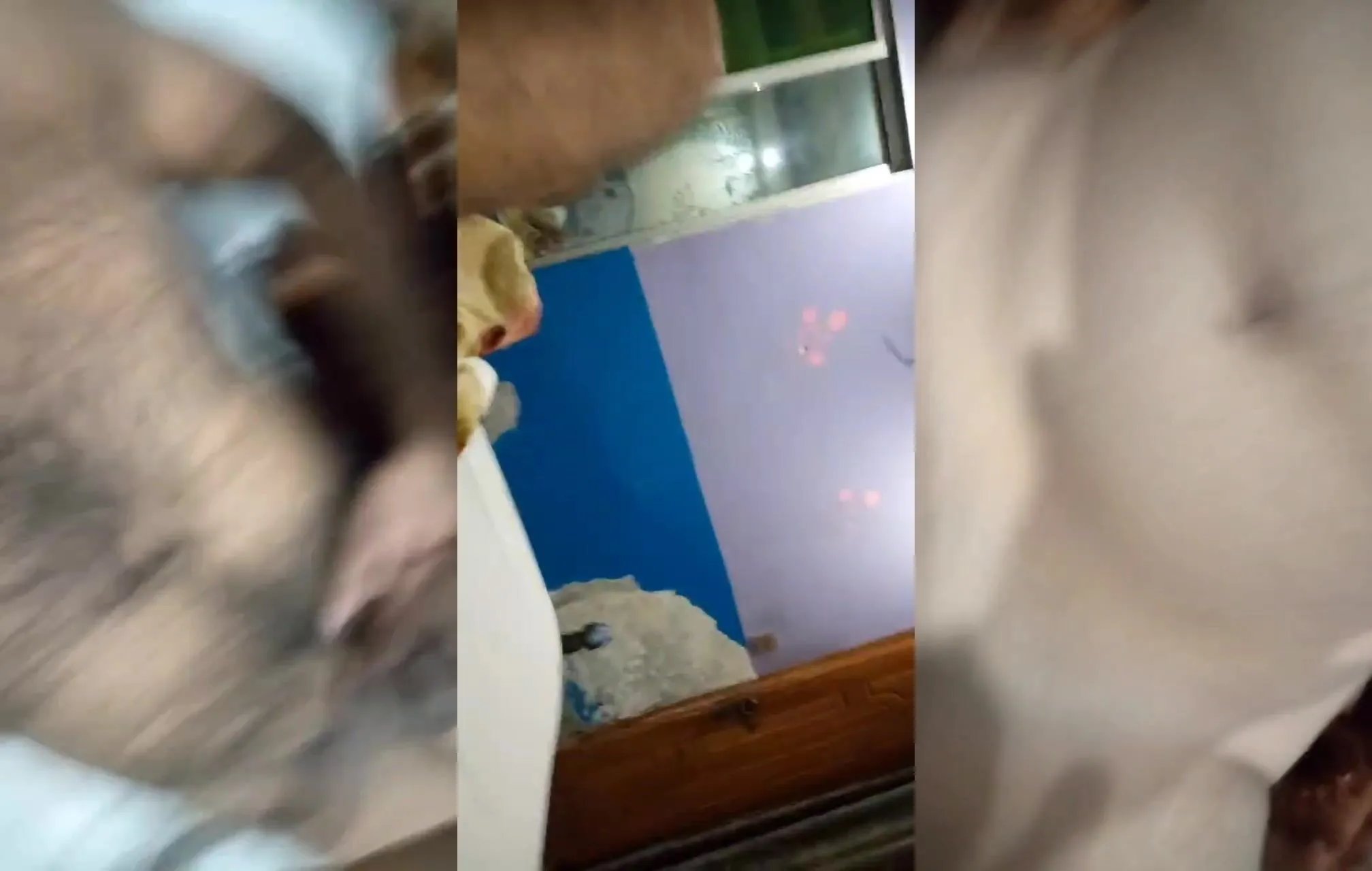 Punjabi lusty girl intense romantic BJ and fuck with hairy bf