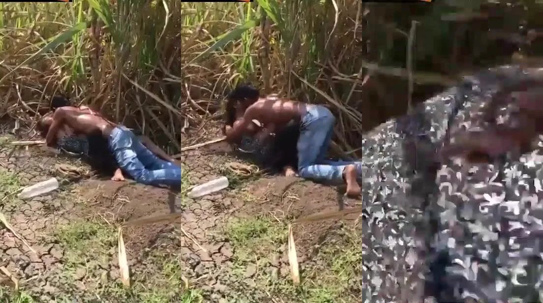 UP village young couple hidden spicy sex mms in farm